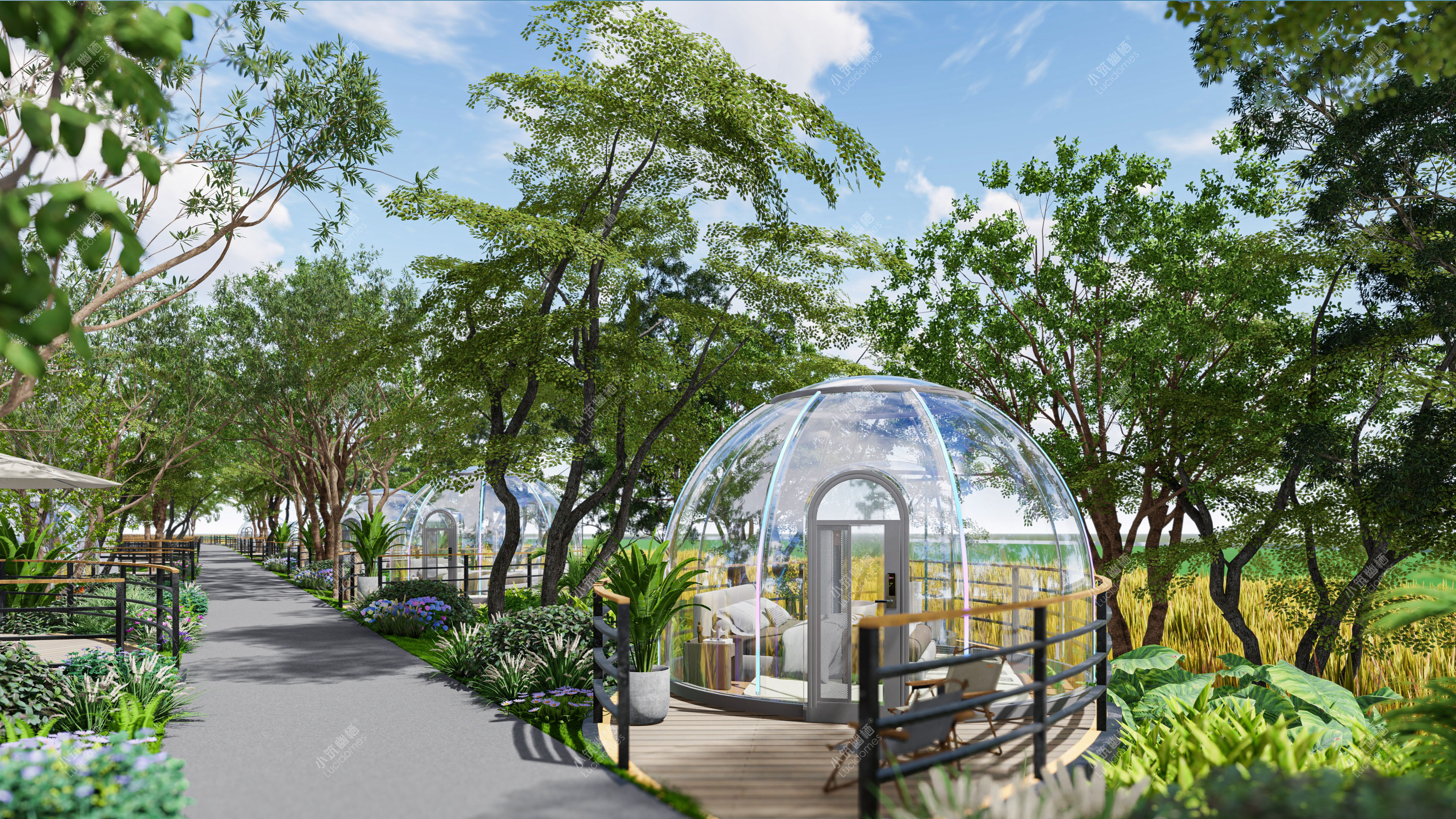 星空房公园商业新模式(图6) 星空房公园商业新模式(图6)